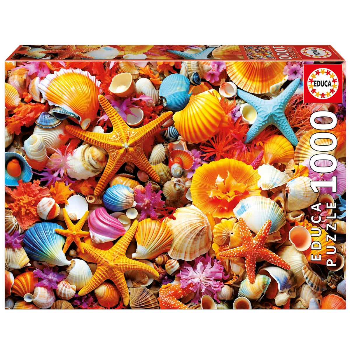 Collage De Conchas - 1000 piezas