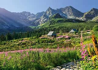 Salón Gąsienicowa en Tatras - 1000 piezas