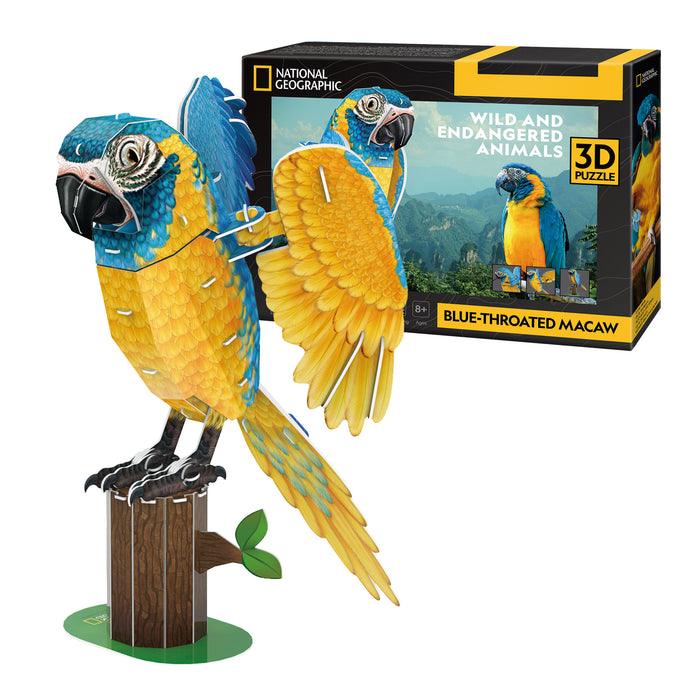 Guacamayo Barba Azul National Geographic